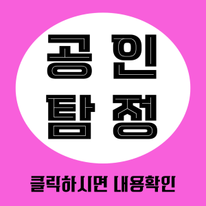 공인탐정